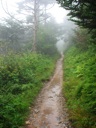 thumbnail of "Nearing The End Of The Alum Cave Trail - 06"