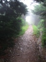 thumbnail of "Nearing The End Of The Alum Cave Trail - 41"