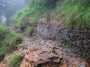 thumbnail of "Slick Rocks On The Trail"