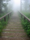 Thumbnail of Image- Steps To The Lodge