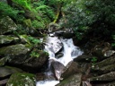 thumbnail of "Stream Below Rainbow Falls - 1"