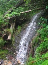 thumbnail of "Stream By Trail"