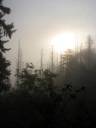 thumbnail of "Sun Through The Fog - 2"