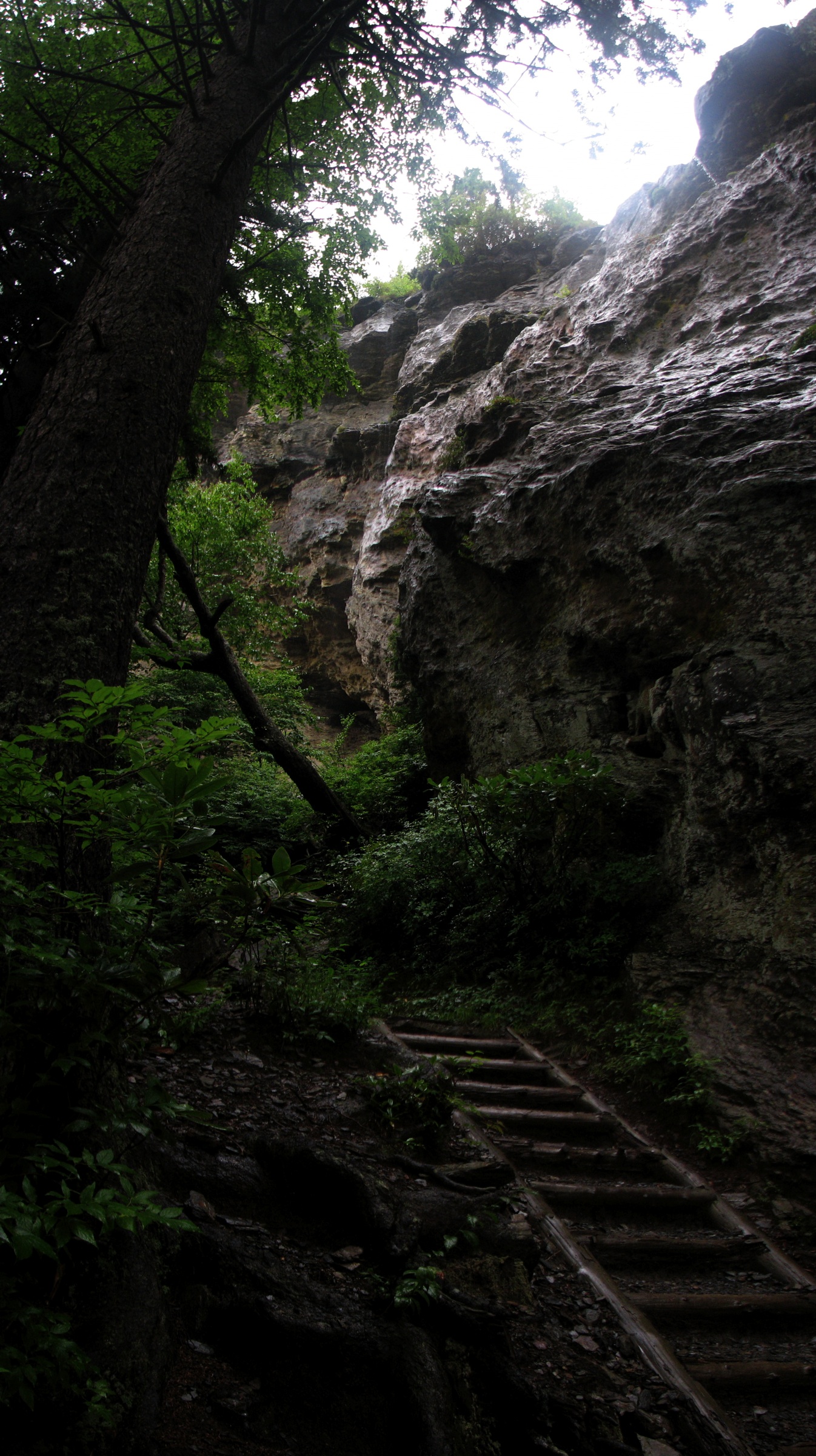 Below Alum Cave - Dark