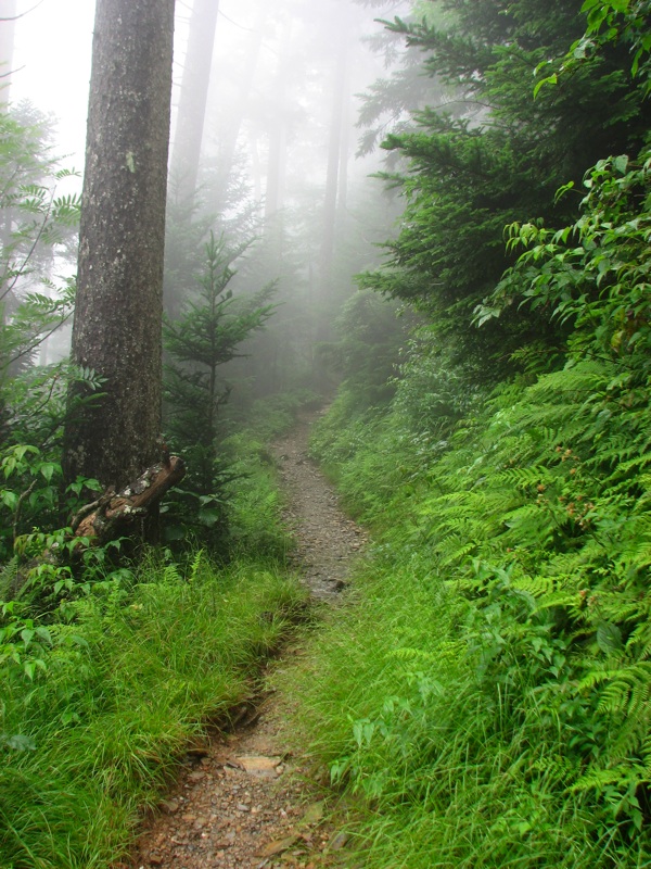 Misty Trail - 04