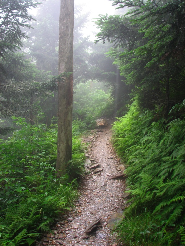 Misty Trail - 05