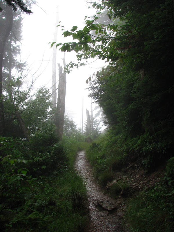 Misty Trail - 06