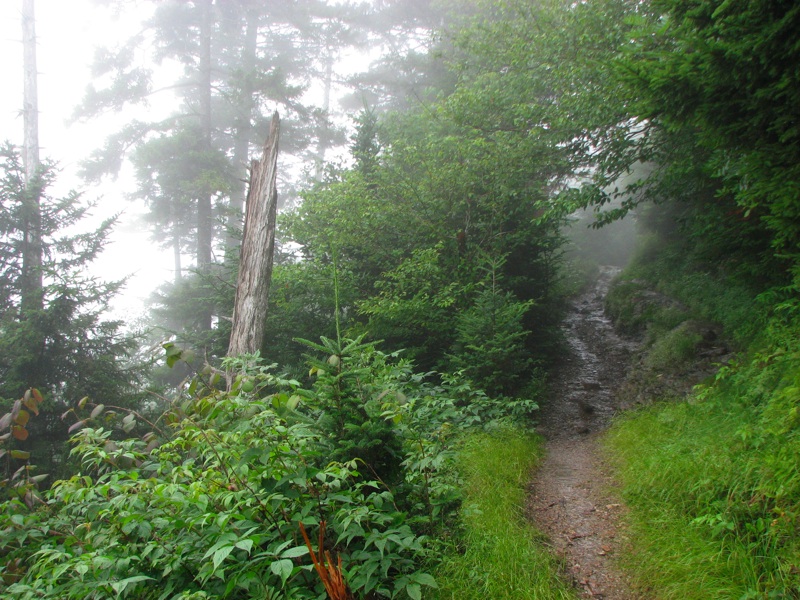 Misty Trail - 07