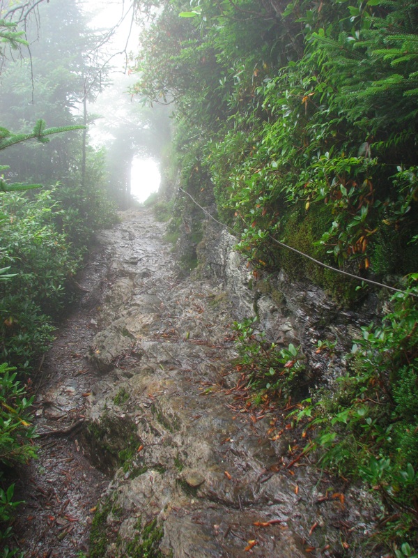 Misty Trail - 08