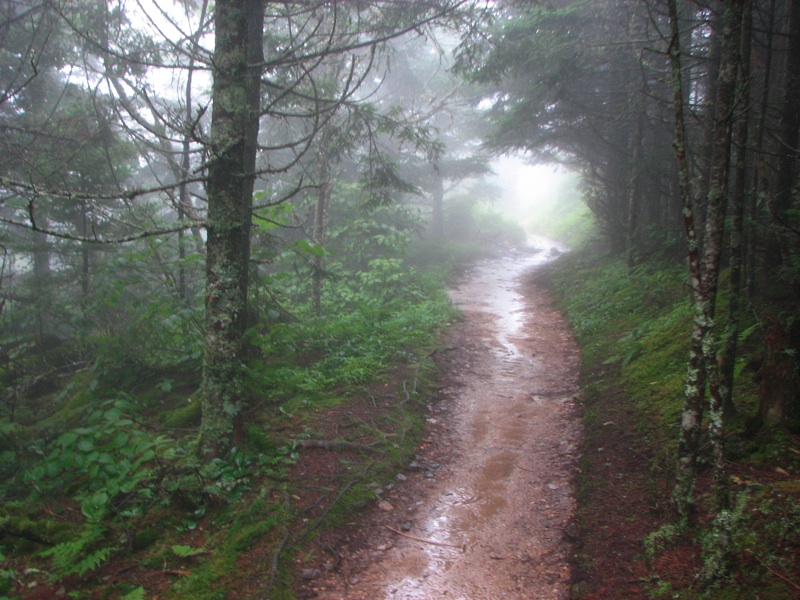 Nearing The End Of The Alum Cave Trail - 01