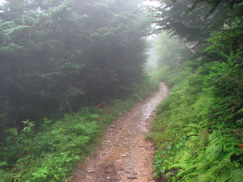 Nearing The End Of The Alum Cave Trail - 04