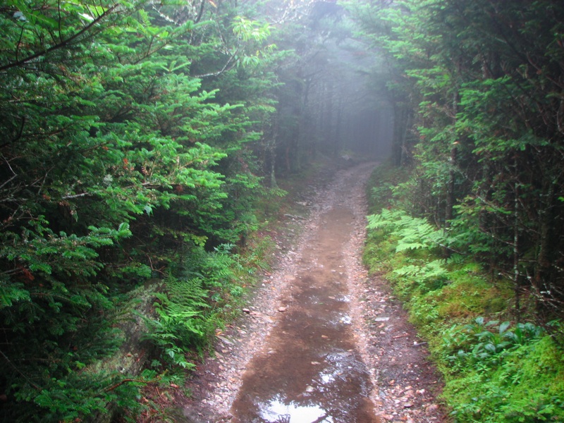 Nearing The End Of The Alum Cave Trail - 13