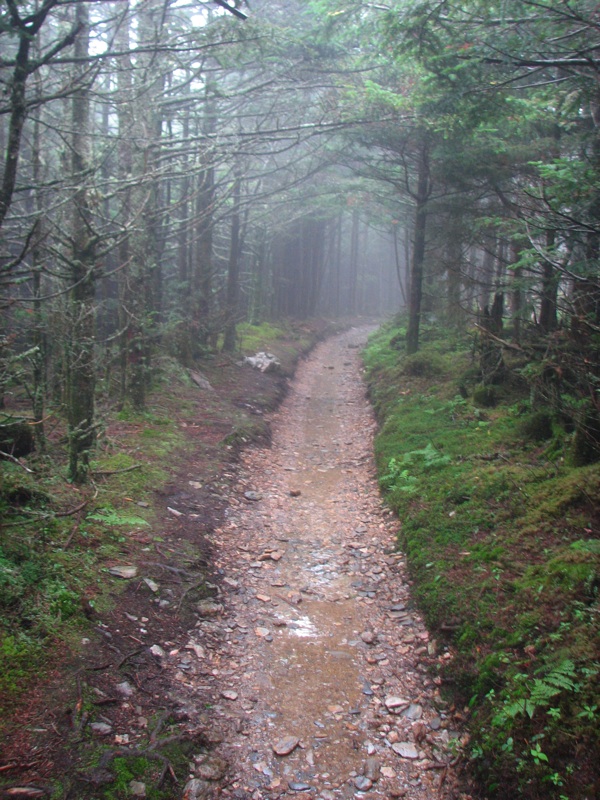 Nearing The End Of The Alum Cave Trail - 15