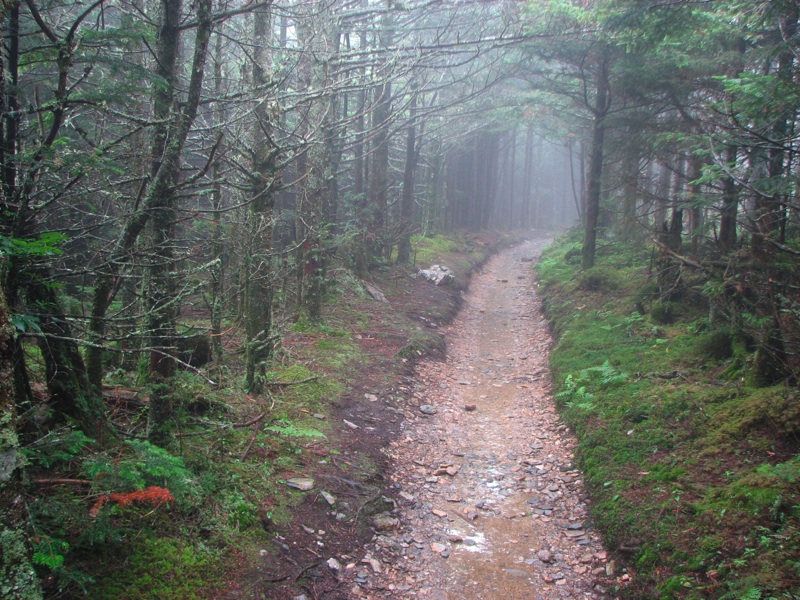 Nearing The End Of The Alum Cave Trail - 16