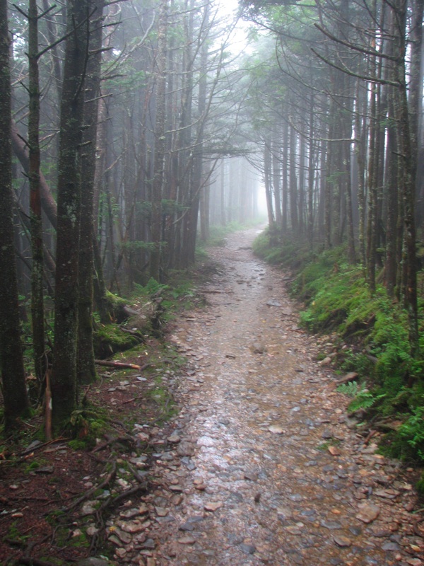 Nearing The End Of The Alum Cave Trail - 23