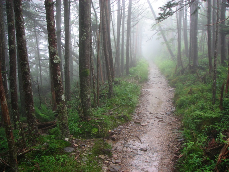 Nearing The End Of The Alum Cave Trail - 29