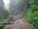 thumbnail of "Misty Trail - 01"