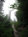 thumbnail of "Misty Trail - 06"