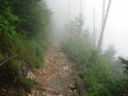 Thumbnail of Image- Misty Trail - 10