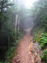 thumbnail of "Misty Trail - 12"