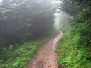 thumbnail of "Nearing The End Of The Alum Cave Trail - 04"