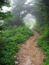 thumbnail of "Nearing The End Of The Alum Cave Trail - 05"