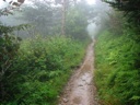 thumbnail of "Nearing The End Of The Alum Cave Trail - 07"