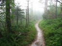 thumbnail of "Nearing The End Of The Alum Cave Trail - 09"