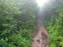 thumbnail of "Nearing The End Of The Alum Cave Trail - 11"