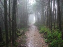 thumbnail of "Nearing The End Of The Alum Cave Trail - 24"