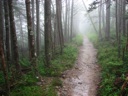 thumbnail of "Nearing The End Of The Alum Cave Trail - 29"