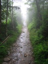 thumbnail of "Nearing The End Of The Alum Cave Trail - 33"
