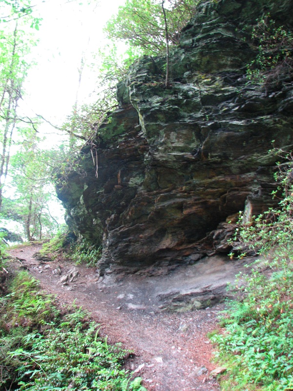 Alum Cave Bluff Trail - 1