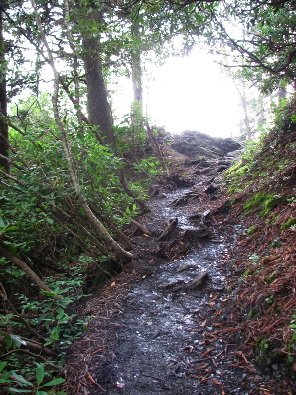 Alum Cave Bluff Trail - 2