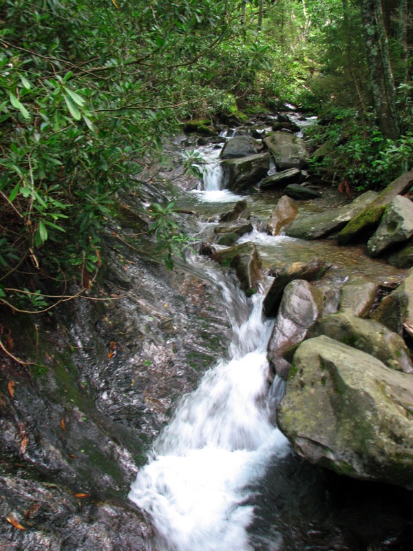 Creek Along The Alum Cave Trail - 6