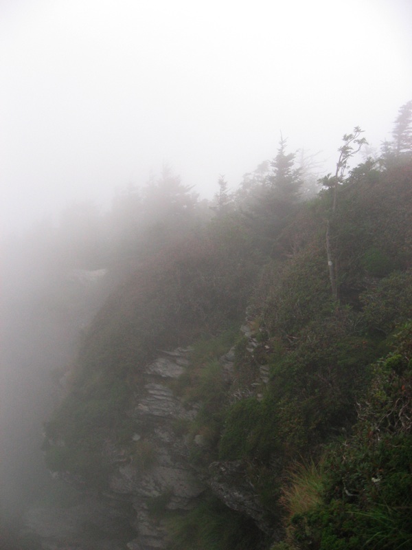 Foggy Mountains