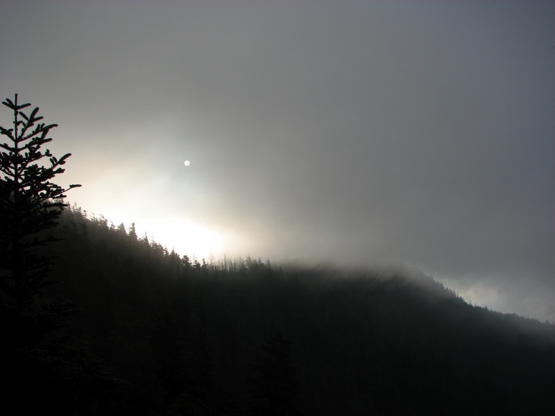 Foggy Sun Over LeConte