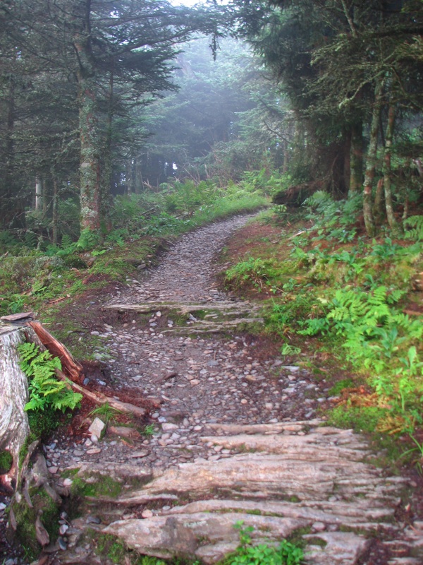 Trail Back From Myrtle Point - 06