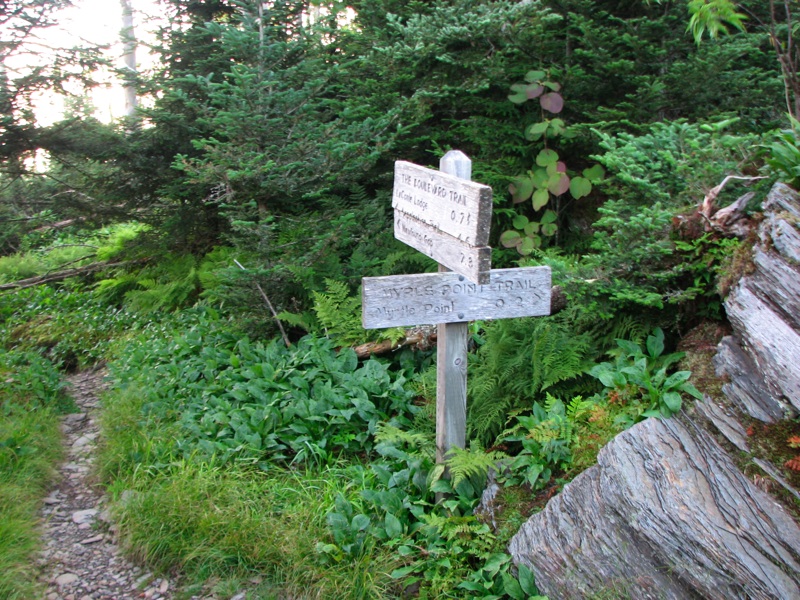 Trail Back From Myrtle Point - Signpost