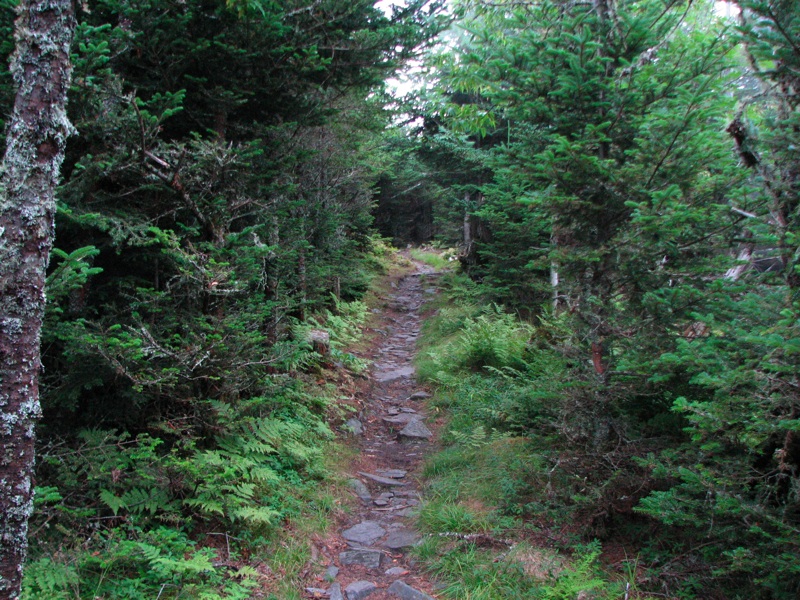 Trail To Cliff Top - 1