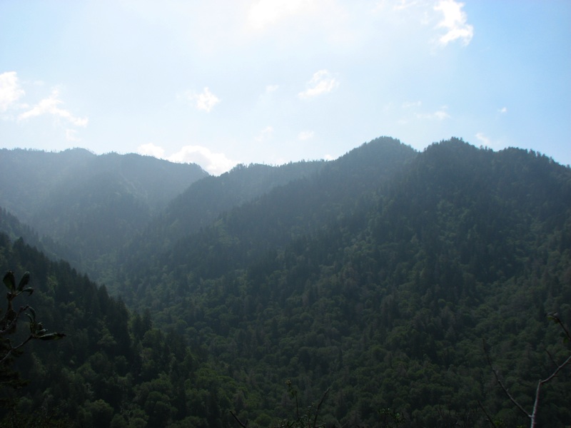 View From The Alum Cave Bluff Trail - 02