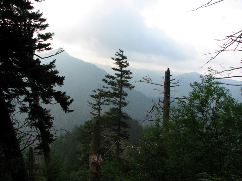 View From The Alum Cave Bluff Trail - 03