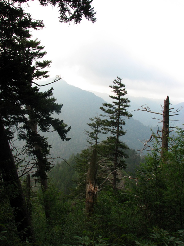 View From The Alum Cave Bluff Trail - 05