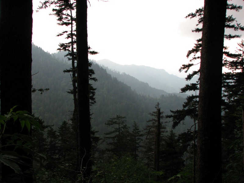 View From The Alum Cave Bluff Trail - 07