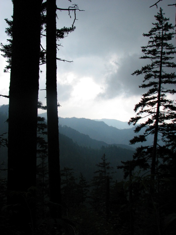 View From The Alum Cave Bluff Trail - 08