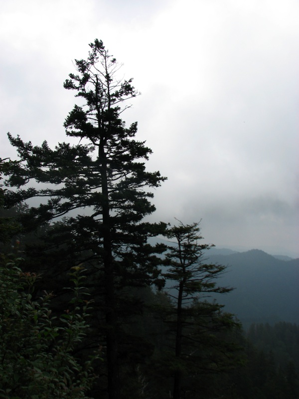 View From The Alum Cave Bluff Trail - 11