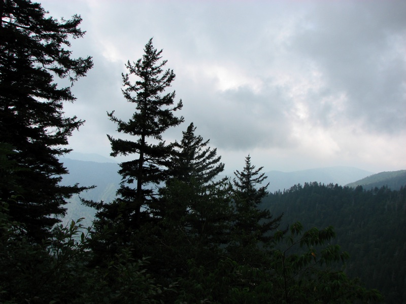 View From The Alum Cave Bluff Trail - 12