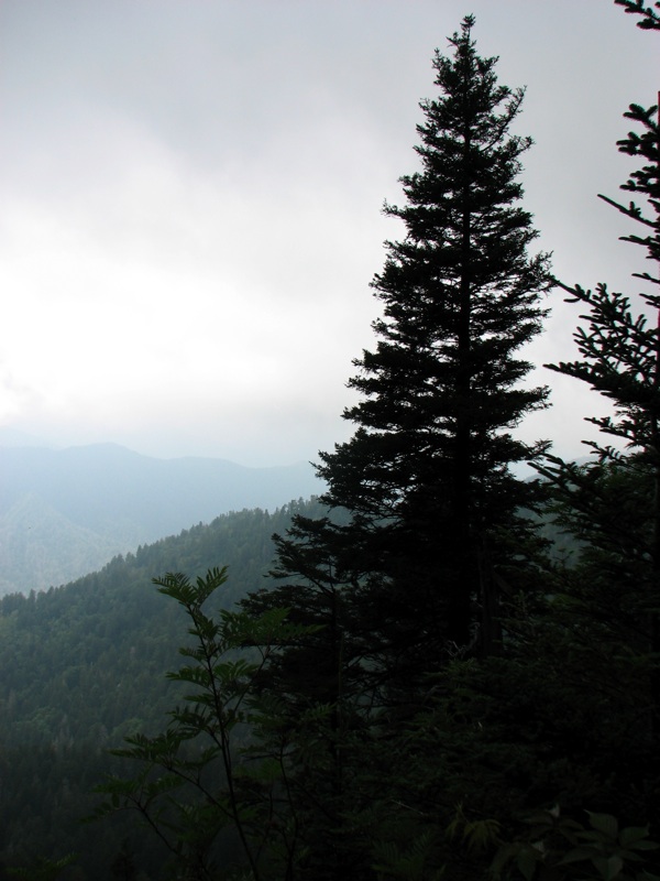 View From The Alum Cave Bluff Trail - 13