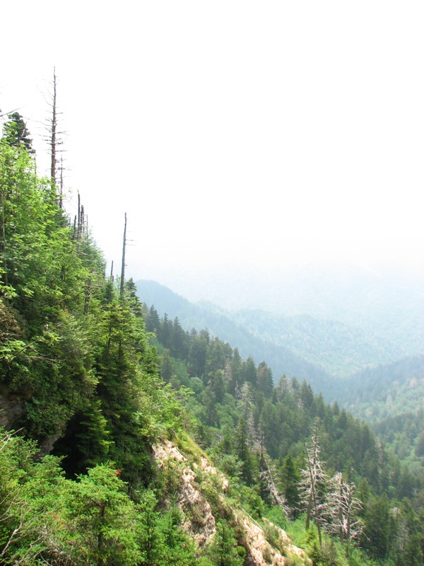 View From The Alum Cave Bluff Trail - 14