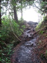 thumbnail of "Alum Cave Bluff Trail - 2"